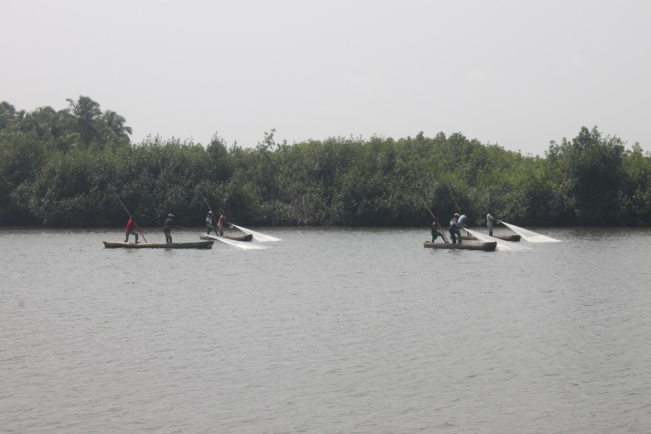 Natura Luxury Lodge Ouidah Esterno foto